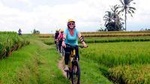Half-Day Ubud Rice Field and Village Cycling Tour