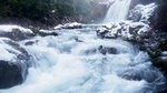 Half Day Volcanic Explorer Guided Walk 