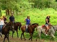 Horseback Riding Jaco