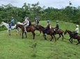 Horseback Riding to La Fortuna Waterfall From Arenal