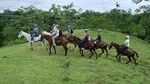 Horseback Riding to La Fortuna Waterfall From Arenal