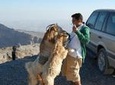 Jebel Shams Day Trip: The Grand Canyon of Oman