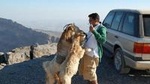 Jebel Shams Day Trip: The Grand Canyon of Oman