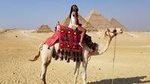 Layover in Cairo Visit Giza Pyramids ,Egyption museum and Khan El Khalily Bazar