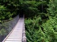 Lynn Canyon Suspension Bridge, Trail and Photography Tour