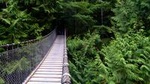 Lynn Canyon Suspension Bridge, Trail and Photography Tour
