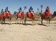 Marrakech Palm Grove Camel Ride with Tea Break