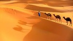 Marrakech to Zagora Desert tour