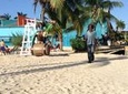 Montego Bay Highlight-Rose Hall Tour