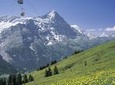 Mt First Admission in Grindelwald