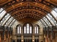 Natural History Museum of London Guided Tour - Private Tour