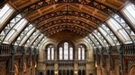 Natural History Museum of London Guided Tour - Private Tour