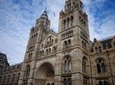 Natural History Museum of London Guided Tour - Semi-Private 8ppl Max