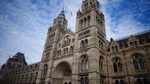 Natural History Museum of London Guided Tour - Semi-Private 8ppl Max