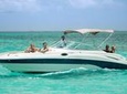 North Sound Charter with Stingray Encounter - Snorkel - Snacks and Champagne