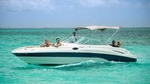 North Sound Charter with Stingray Encounter - Snorkel - Snacks and Champagne