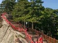 Private Day Tour to Mt Huashan from Xi'an by Bullet Train