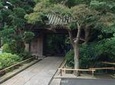 Private Full-Day Kamakura Tour of Tokyo and Hokoku-ji Temple