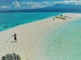 Oslob Whaleshark with Sumilon Island