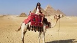 Overday to Cairo from Luxor Visit Giza Pyramids ,Egyption museum and Bazar