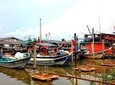 Sekinchan Paddy Field & Fishing Village Experience from Kuala Lumpur with Lunch