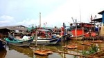 Sekinchan Paddy Field & Fishing Village Experience from Kuala Lumpur with Lunch