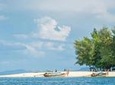 Phi Phi Bamboo Island By Speed Boat Premium Trip