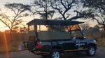 Kruger National Park Afternoon Sunset Safari Tour