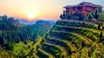 Private Day Tour: Anxi Tea Garden And Hongen Rock From Xiamen