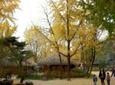 Private Day Trip to Korean Folk Village and Hwaseong Fortress