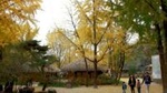 Private Day Trip to Korean Folk Village and Hwaseong Fortress