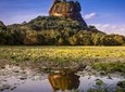 Sigiriya Rock and Wild Elephant Safari from Dambulla
