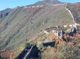 Mutianyu Great Wall + Summer Palace or Forbidden City or Ming Tombs Day Tour