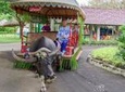 Private Full-Day Shore Excursion Villa Escudero