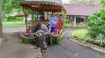 Private Full-Day Shore Excursion Villa Escudero