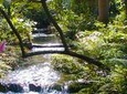 Private Tour From Ocho Rios To Konoko Falls And Garden and Shopping