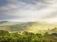 Meditation & Music Therapy at Polgahaamuna Waterfall