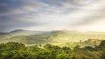 Meditation & Music Therapy at Polgahaamuna Waterfall