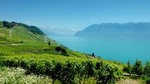 Swiss Riviera Private Tour : Lausanne, Vevey, Montreux, Chillon
