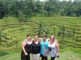 Private Tour: Best Attractions in Ubud by Tripadvisor