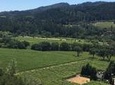 Private Wine Tour of Napa and Sonoma