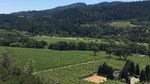 Private Wine Tour of Napa and Sonoma