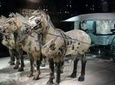 4-Hour Private Xian Tour to Terracotta Warriors with Airport Transfer Option