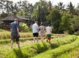 Rice Paddies Village Walking Tour