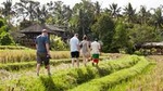 Rice Paddies Village Walking Tour