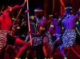 Private Safari Park Hotel Cat Dance and Dinner Experience
