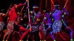 Private Safari Park Hotel Cat Dance and Dinner Experience