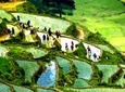 Sapa Trek Group Tour 3days by Bus from Hanoi with 1 night hotel&1 night homestay