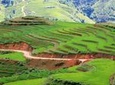 Sapa trekking 2 days 2 nights group tour - homestay from Hanoi