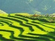 Sapa Trekking Group Tour by Bus from Hanoi with 2 Nights Hotel stay
